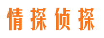 霍州市婚外情调查